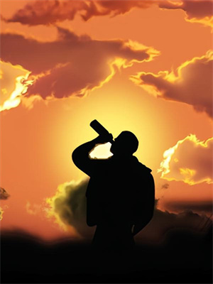 蘇音系統小說全文